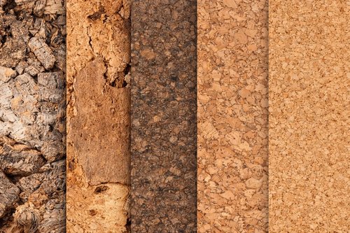 Cork — a cellular wonder of nature.