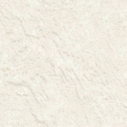 2019-2 Tiziano