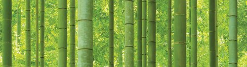 88423-1 Sunshine bamboo