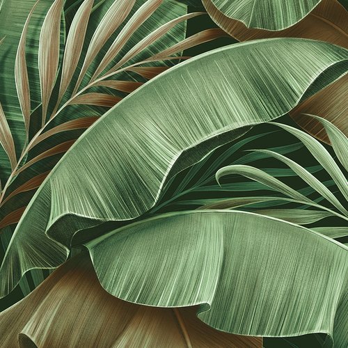 88657-3 Plante