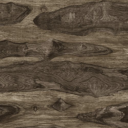 88652-2 Rain tree