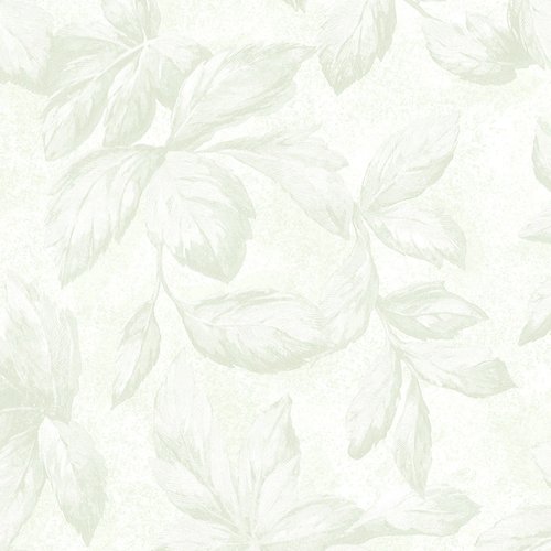 88594-1 Magella