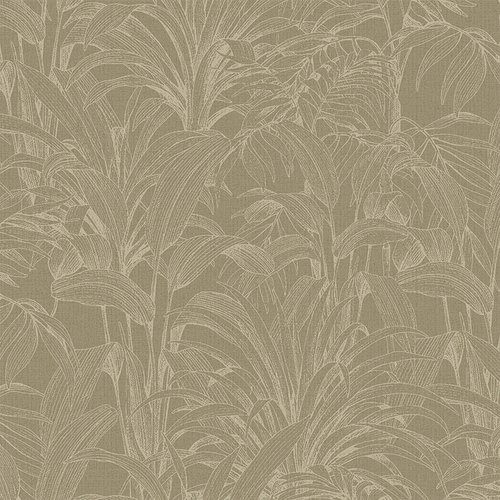 70273-2 Areca