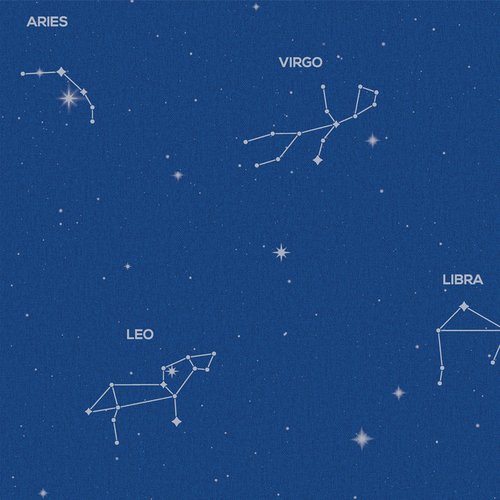 5181-2 Star holic