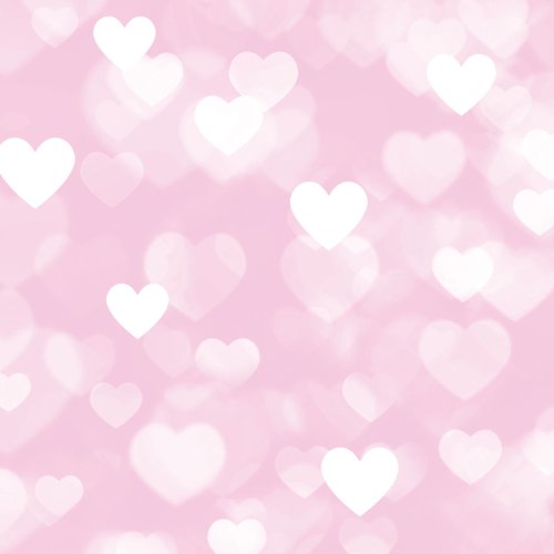 5178-1 Love holic