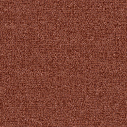K0025-5 Timothee