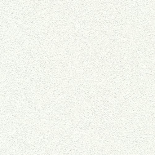 K0019-1 Wild touch