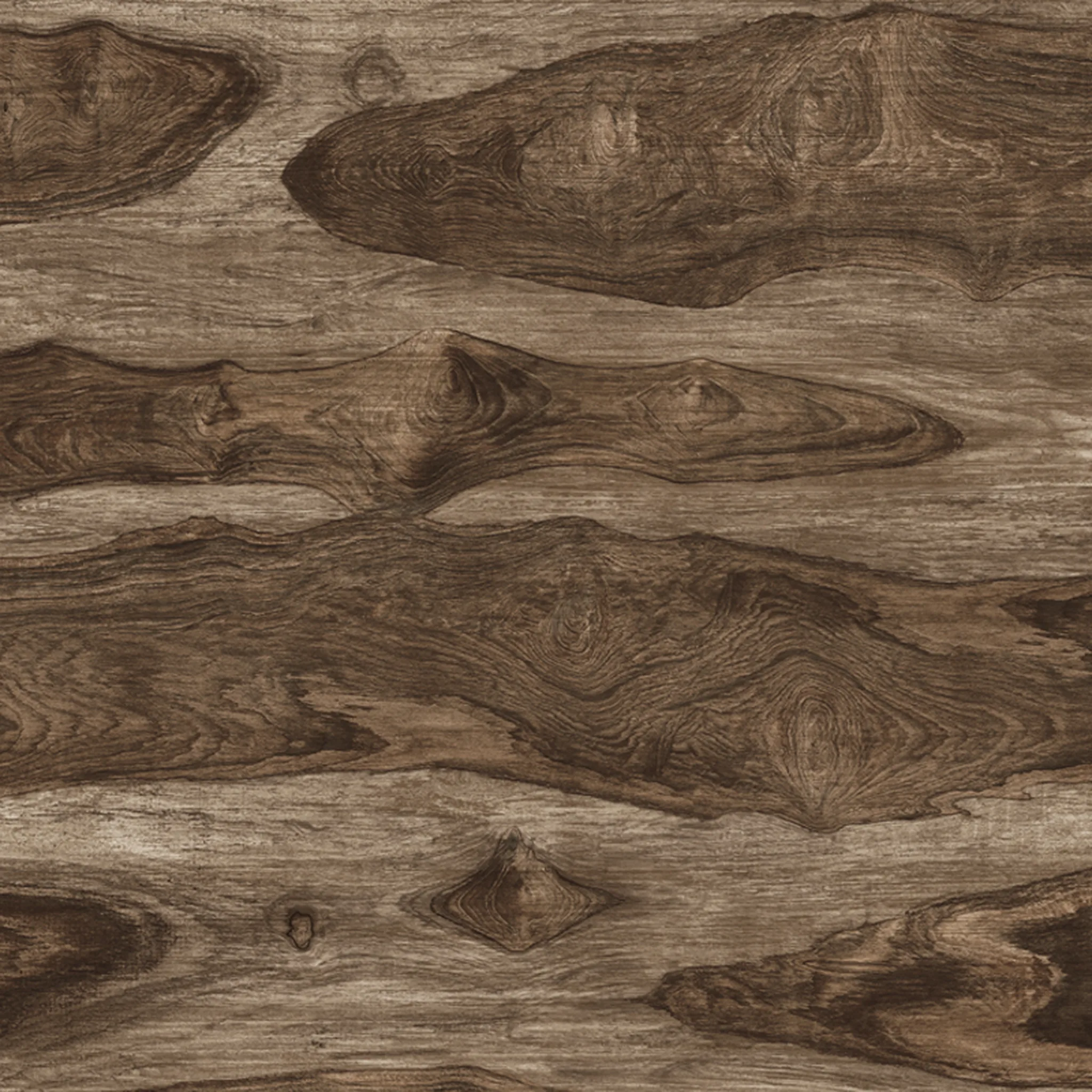 88652-1 Rain tree