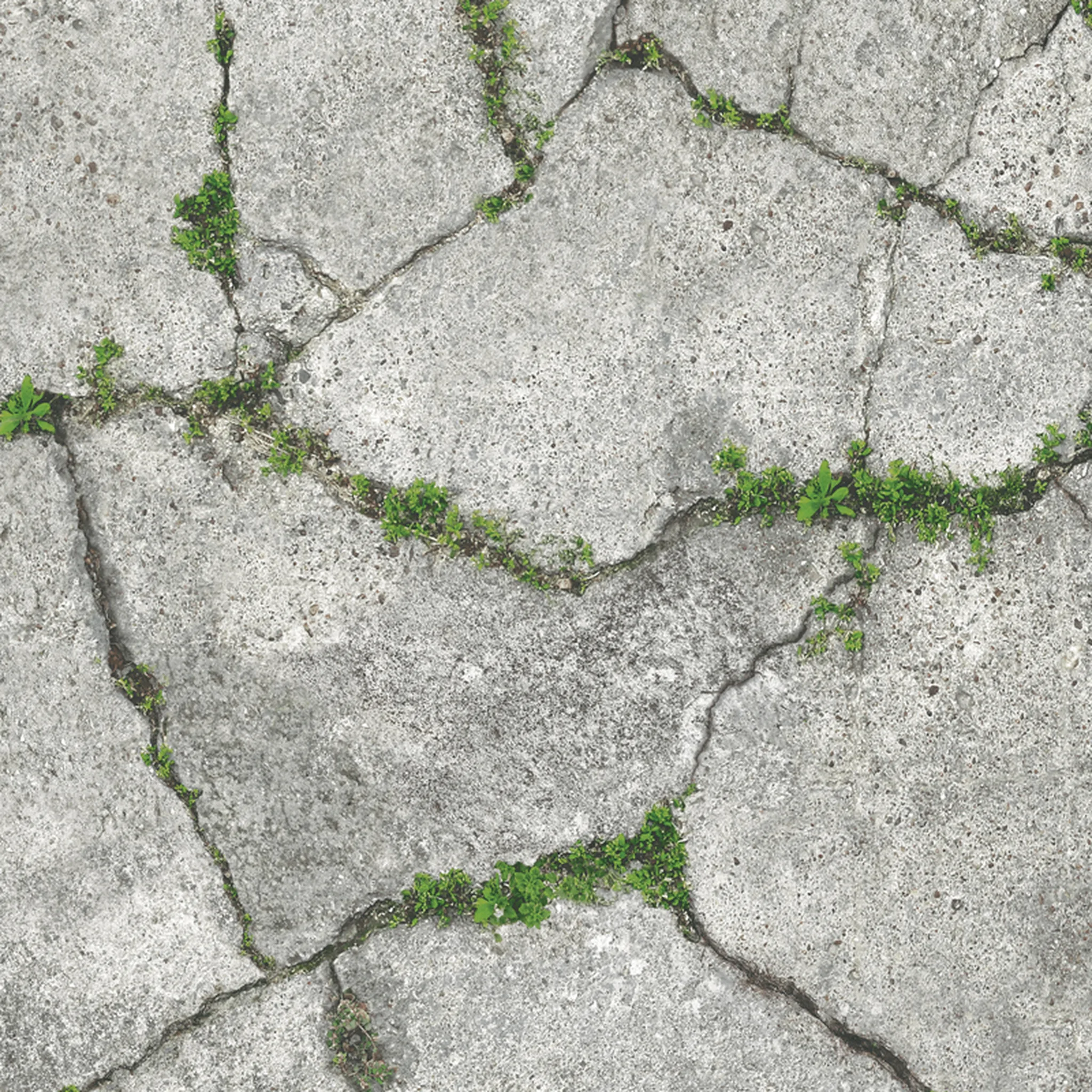 88636-1 Stone garden
