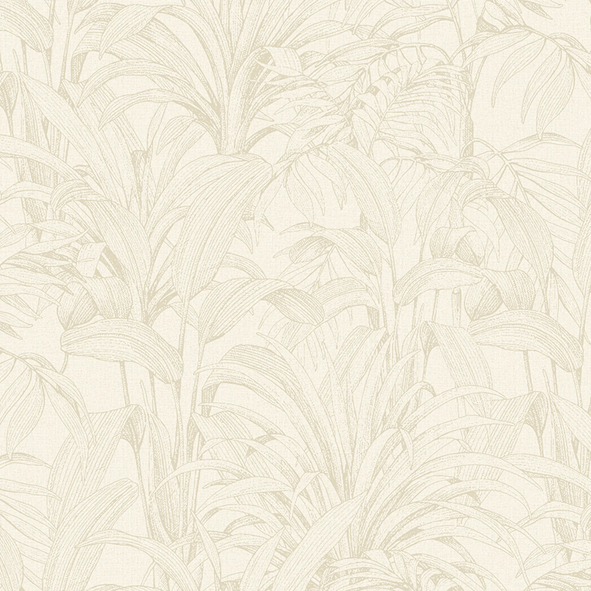 70273-1 Areca