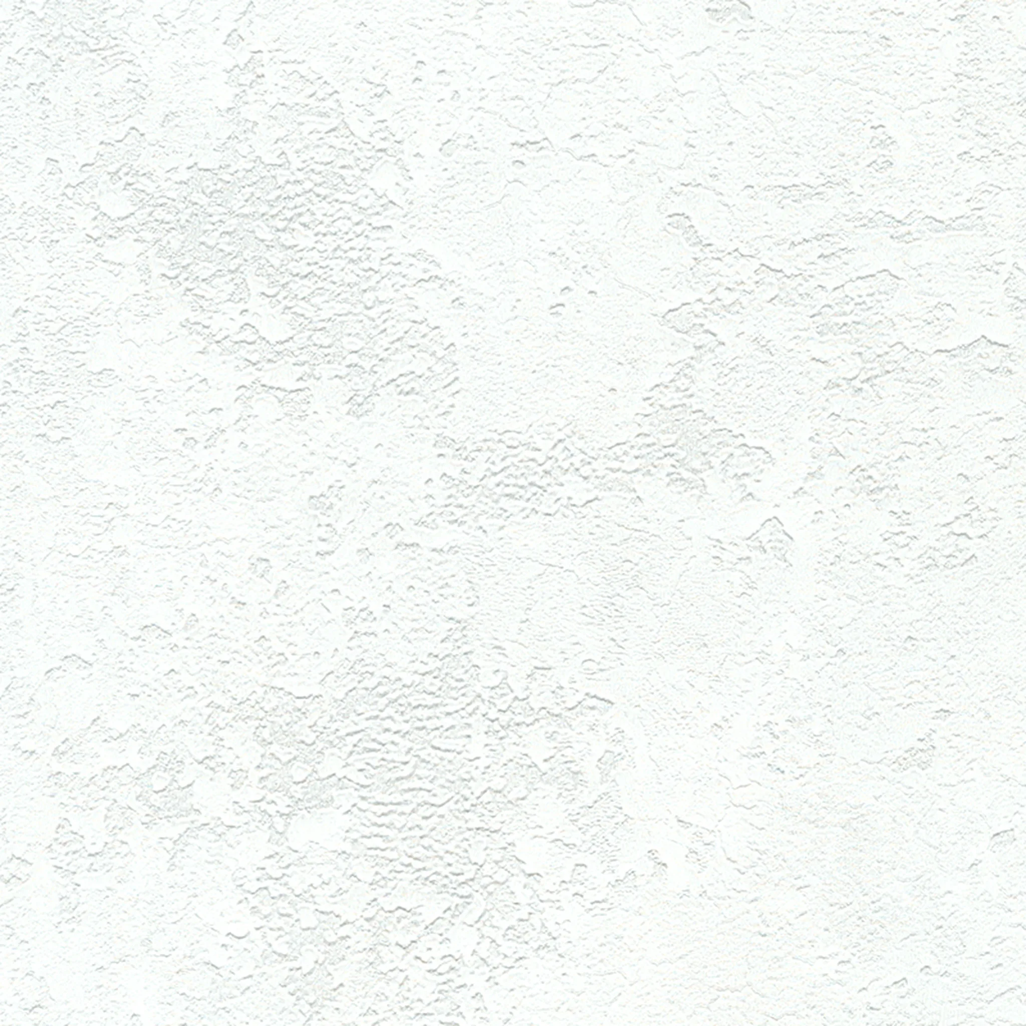 K0029-1 Real plaster