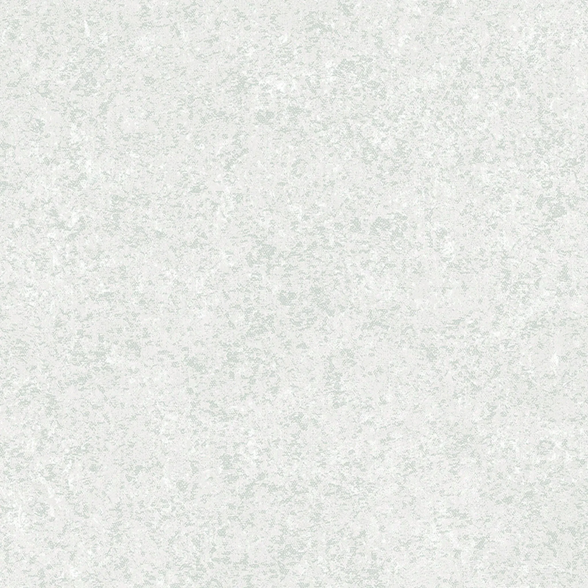 88597-1 Nix