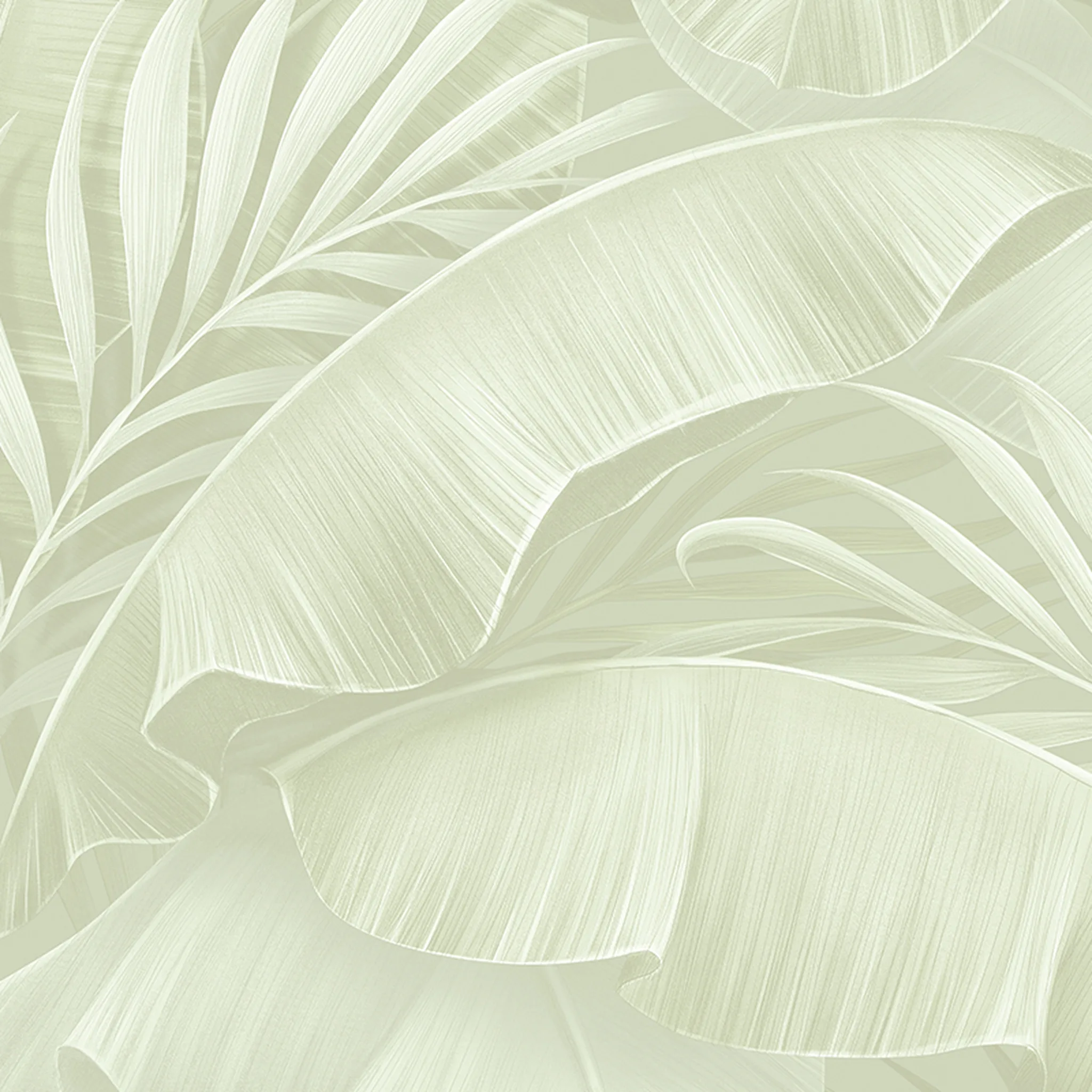 88657-1 Plante