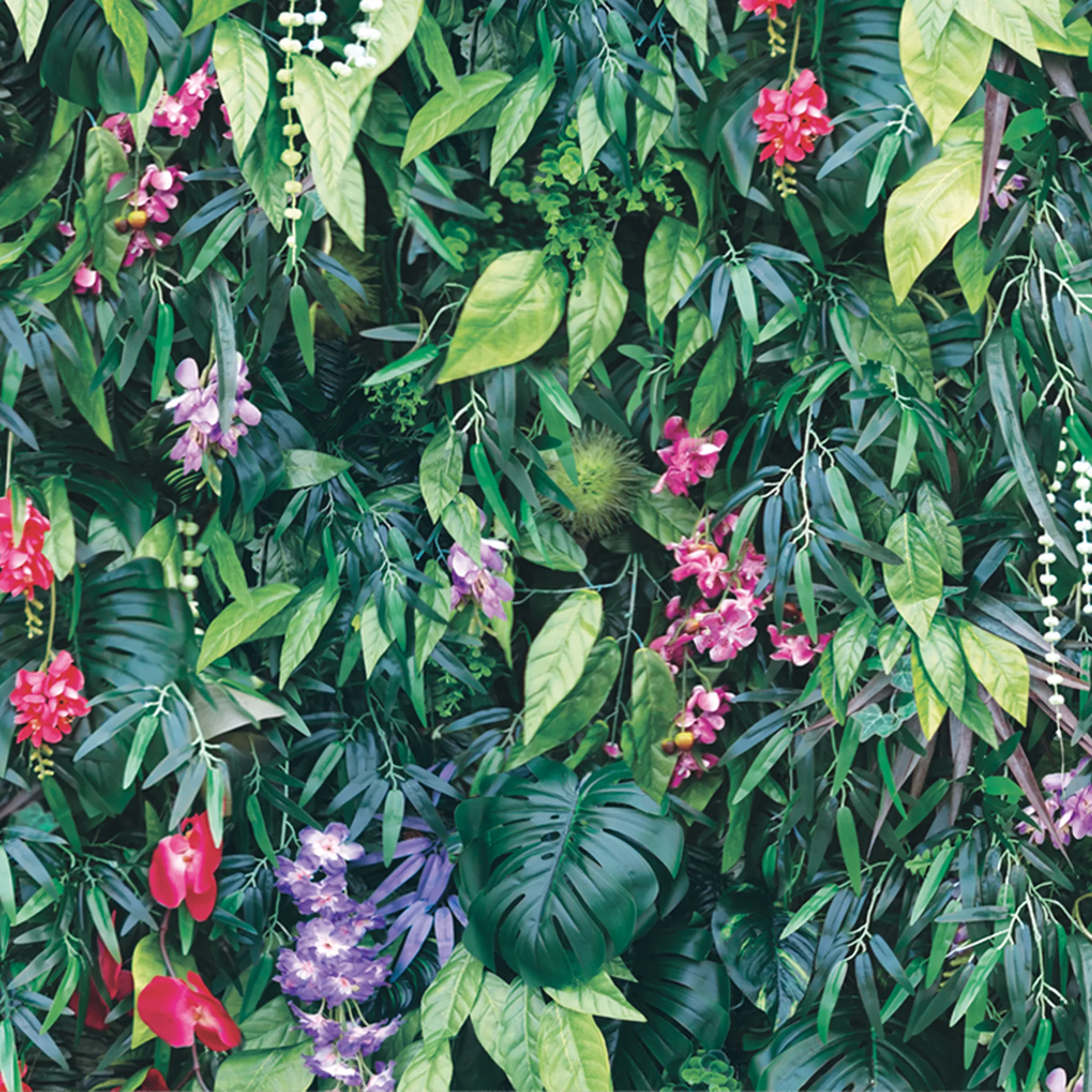 88637-1 Botanical