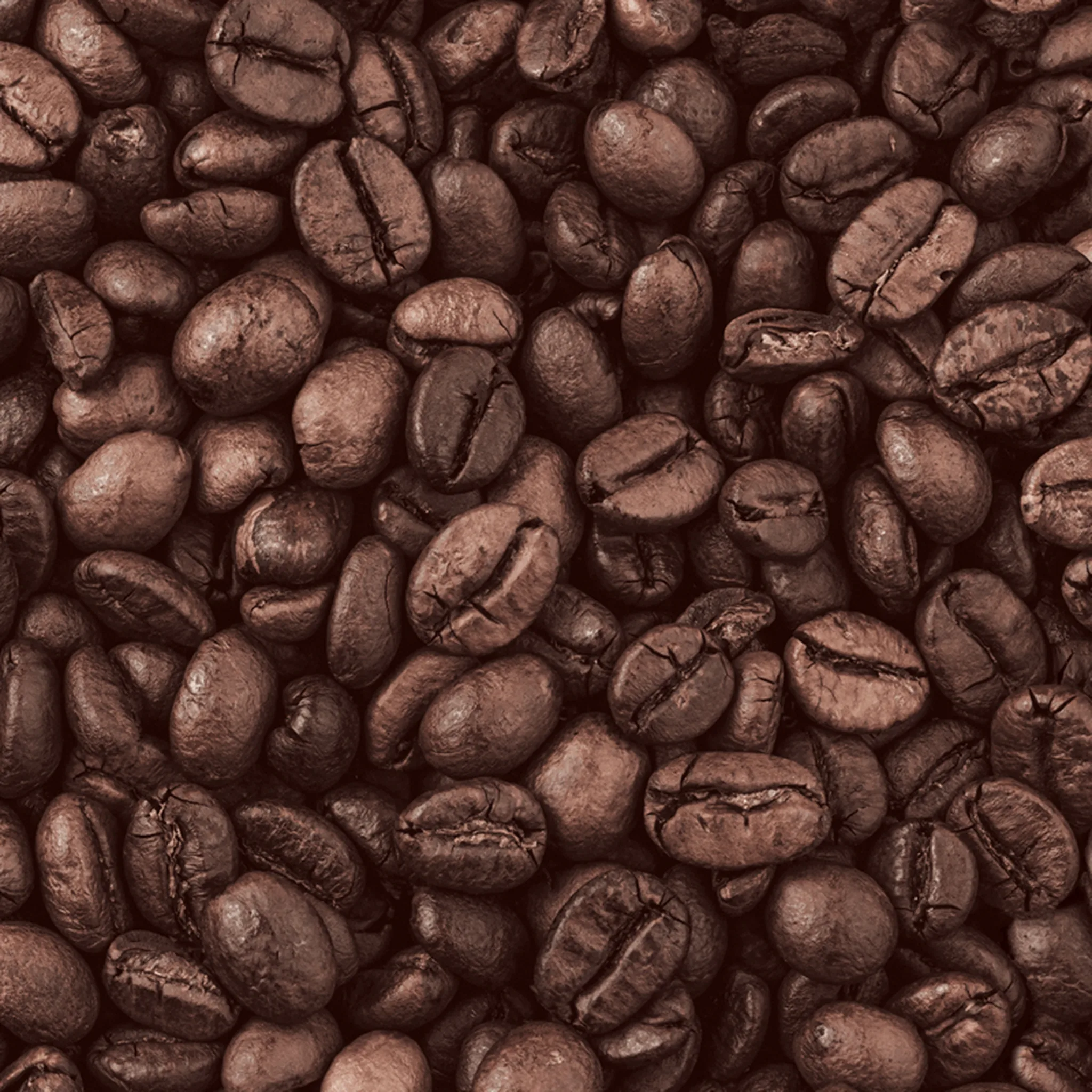 88632-1 Coffee bean