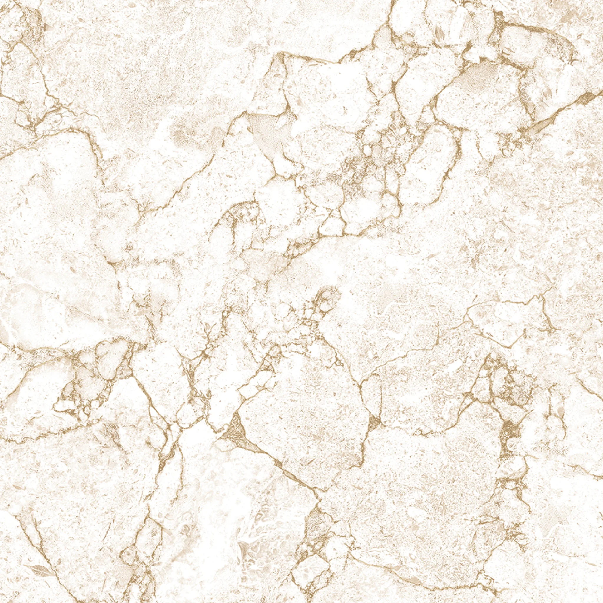 88644-1 Classico