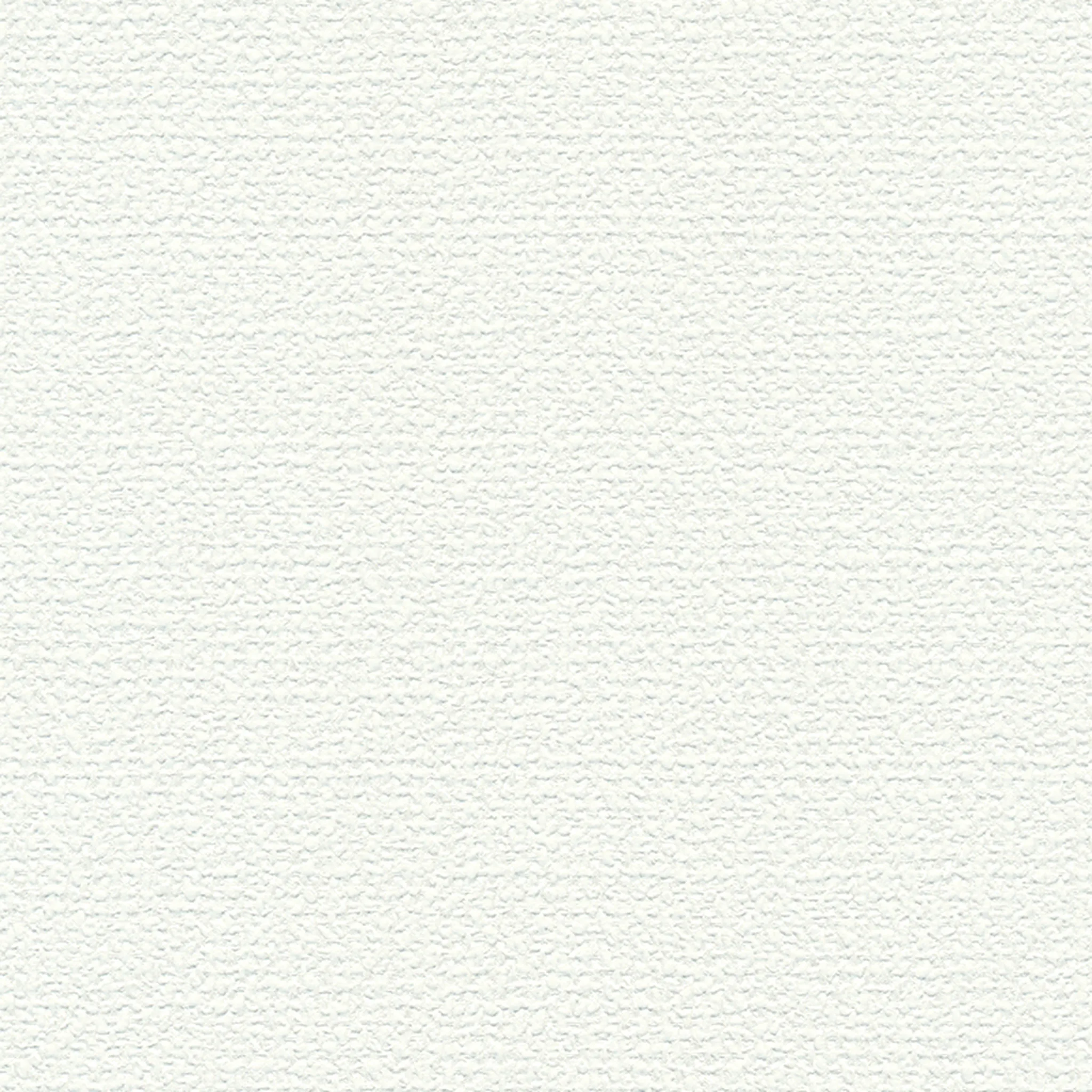 K0025-1 Timothee